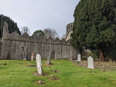 Manastır harabeleri. Malahide Kalesi ve Park, Co Dublin