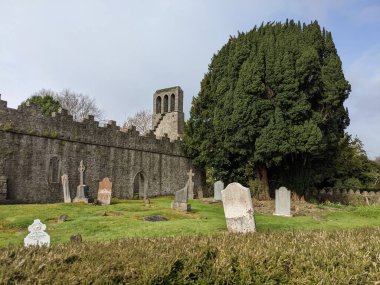 Manastır harabeleri. Malahide Kalesi ve Park, Co Dublin