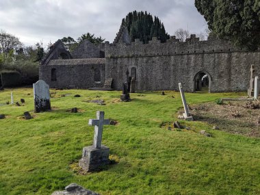 Manastır harabeleri. Malahide Kalesi ve Park, Co Dublin