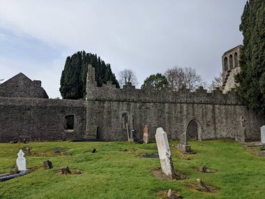Manastır harabeleri. Malahide Kalesi ve Park, Co Dublin