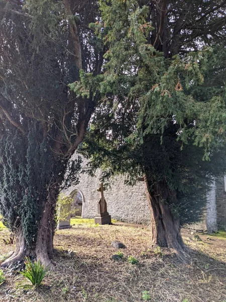 Abteiruinen Malahide Schloss Und Park Grafschaft Dublin — Stockfoto