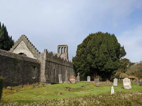 Las Ruinas Abadía Castillo Parque Malahide Dublín — Foto de Stock