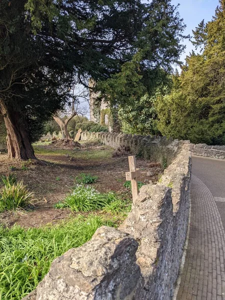 Zřícenina Opatství Malahide Castle Park Dublin — Stock fotografie