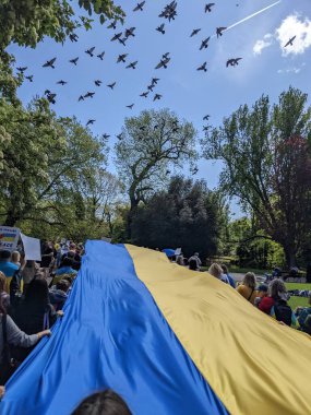 Dublin, İrlanda - 8 Mayıs 2022: Rus istilasına karşı protesto.