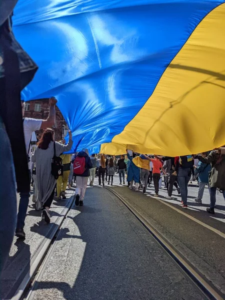 爱尔兰都柏林 2022年5月8日 抗议俄罗斯入侵乌克兰 — 图库照片