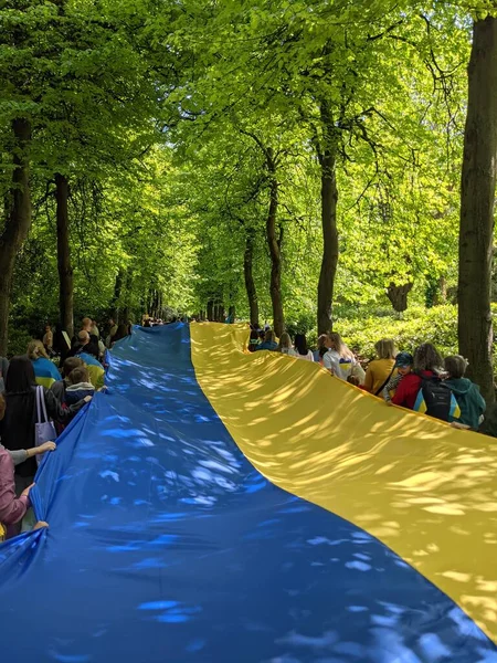 Dublin, İrlanda - 8 Mayıs 2022: Rus istilasına karşı protesto.