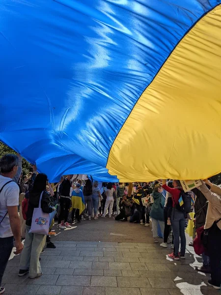 Dublin, İrlanda - 8 Mayıs 2022: Rus istilasına karşı protesto.