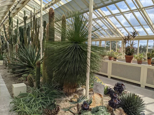 Geniş pencereli sera, güzel bitkiler.