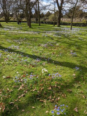 Baharda çiçekli güzel bir park.