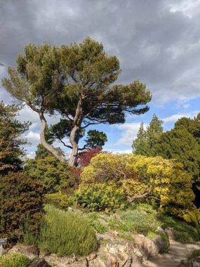 Mavi arka planda ağaçlar olan güzel yeşil bir park.
