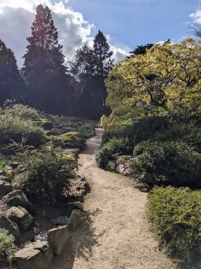 Parktaki güzel doğa manzarası