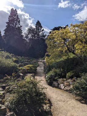 Parktaki güzel doğa manzarası