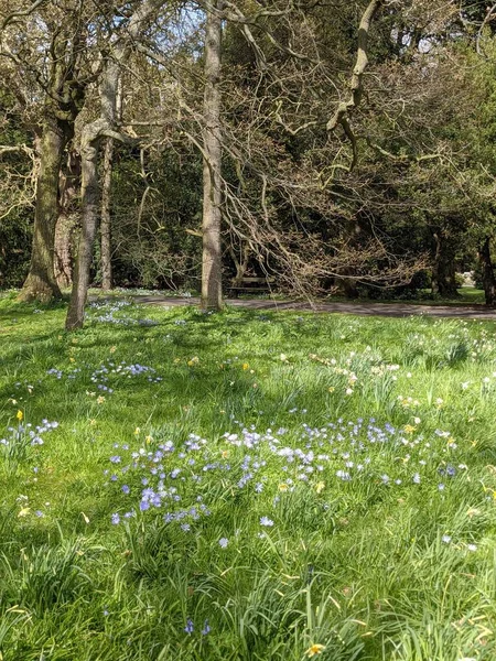 Baharda çiçekli güzel bir park.