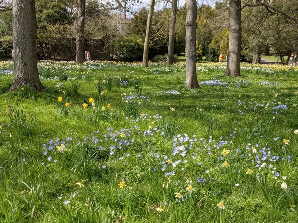 Baharda çiçekli güzel bir park.
