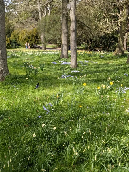 Baharda çiçekli güzel bir park.