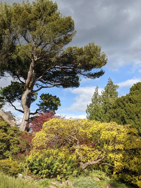 Mavi arka planda ağaçlar olan güzel yeşil bir park.
