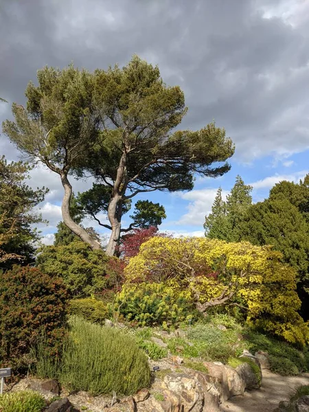 Mavi arka planda ağaçlar olan güzel yeşil bir park.