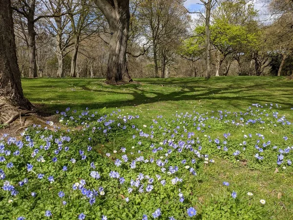 Baharda çiçekli güzel bir park.