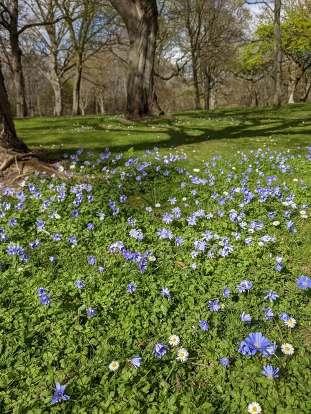 Baharda çiçekli güzel bir park.