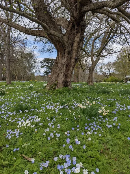 Baharda çiçekli güzel bir park.