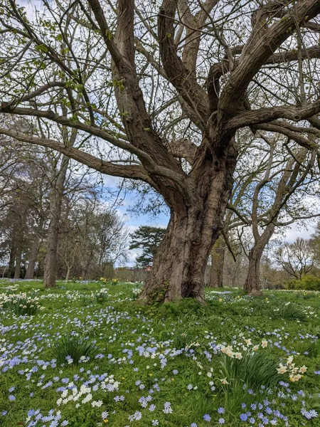 Baharda çiçekli güzel bir park.