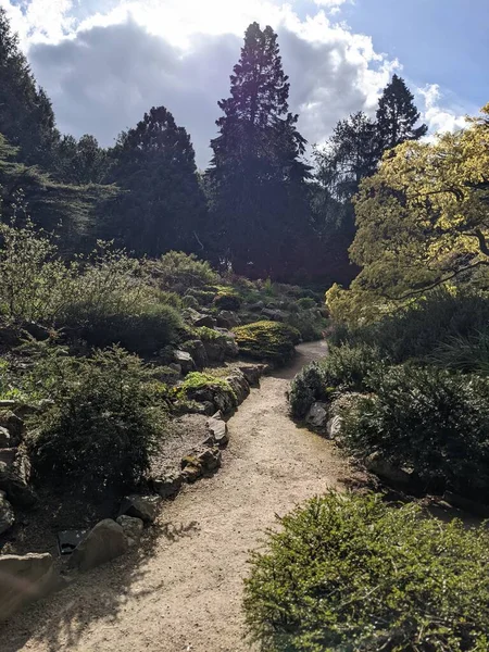 Uitzicht Prachtige Natuur Het Park — Stockfoto