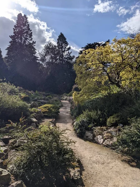 Parktaki güzel doğa manzarası