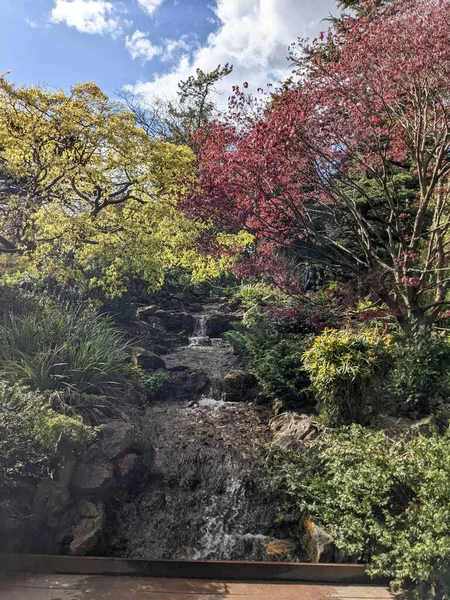 Parktaki güzel doğa manzarası