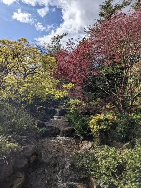 Parktaki güzel doğa manzarası