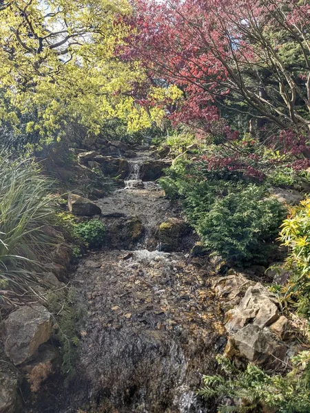 Parktaki güzel doğa manzarası