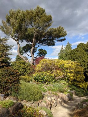 Mavi arka planda ağaçlar olan güzel yeşil bir park.