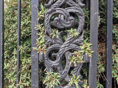 İşlenmiş demir çitin üzerindeki yeşil çalı 