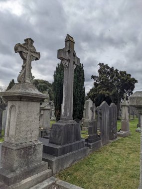 Glasnevin Mezarlığı, İrlanda 'nın en büyük mezarlığı.