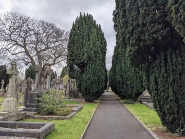 Glasnevin Mezarlığı 'ndaki yeşil sokak, Dublin, İrlanda.