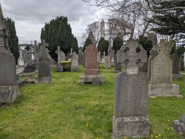 Glasnevin Mezarlığı, İrlanda 'nın en büyük mezarlığı.