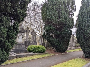 Glasnevin Mezarlığı 'ndaki yeşil sokak, Dublin, İrlanda.