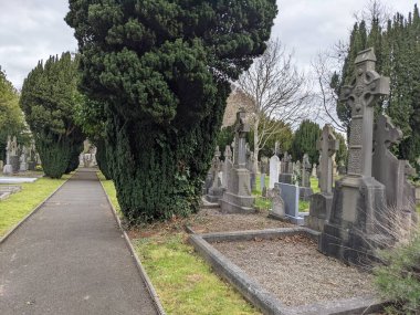 Glasnevin Mezarlığı 'ndaki yeşil sokak, Dublin, İrlanda.