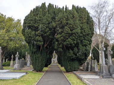 Glasnevin Mezarlığı 'ndaki yeşil sokak, Dublin, İrlanda.