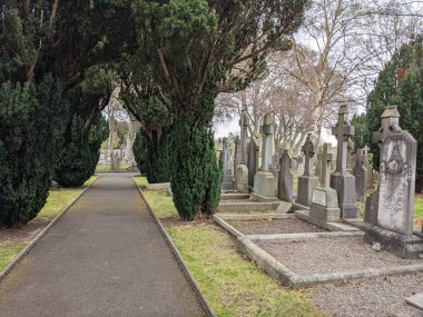 Glasnevin Mezarlığı 'ndaki yeşil sokak, Dublin, İrlanda.