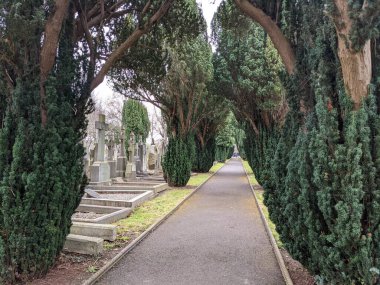 Glasnevin Mezarlığı 'ndaki yeşil sokak, Dublin, İrlanda.