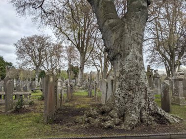 Glasnevin Mezarlığı, İrlanda 'nın en büyük mezarlığı.