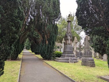 Glasnevin Mezarlığı 'ndaki yeşil sokak, Dublin, İrlanda.