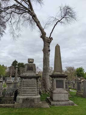 Glasnevin Mezarlığı, İrlanda 'nın en büyük mezarlığı.