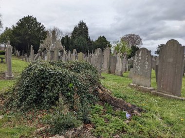 Glasnevin Mezarlığı, İrlanda 'nın en büyük mezarlığı.