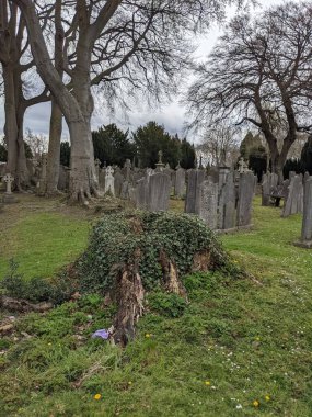 Glasnevin Mezarlığı, İrlanda 'nın en büyük mezarlığı.