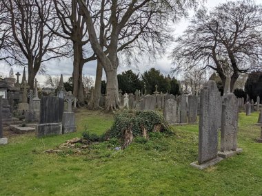 Glasnevin Mezarlığı, İrlanda 'nın en büyük mezarlığı.