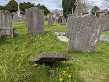 Glasnevin Mezarlığı, İrlanda 'nın en büyük mezarlığı.