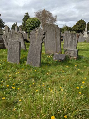 Glasnevin Mezarlığı, İrlanda 'nın en büyük mezarlığı.