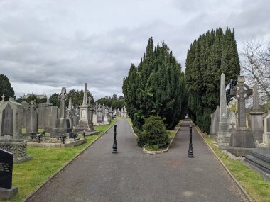Glasnevin Mezarlığı 'ndaki yeşil sokak, Dublin, İrlanda.