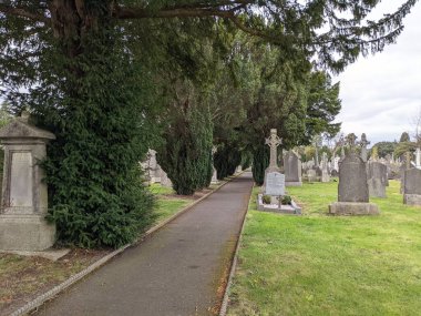 Glasnevin Mezarlığı 'ndaki yeşil sokak, Dublin, İrlanda.